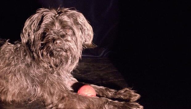 LUKAS UND das Untier