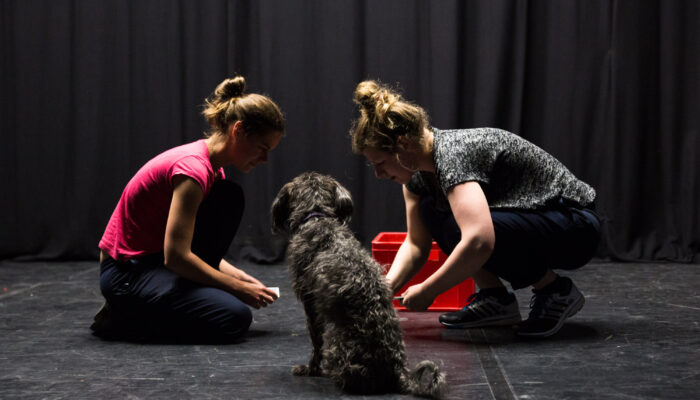 LUKAS UND das Untier